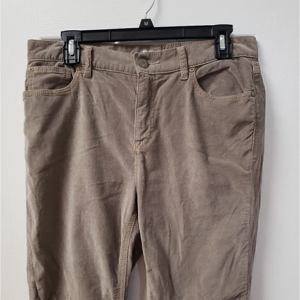 Free People Corduroy Pant 31
